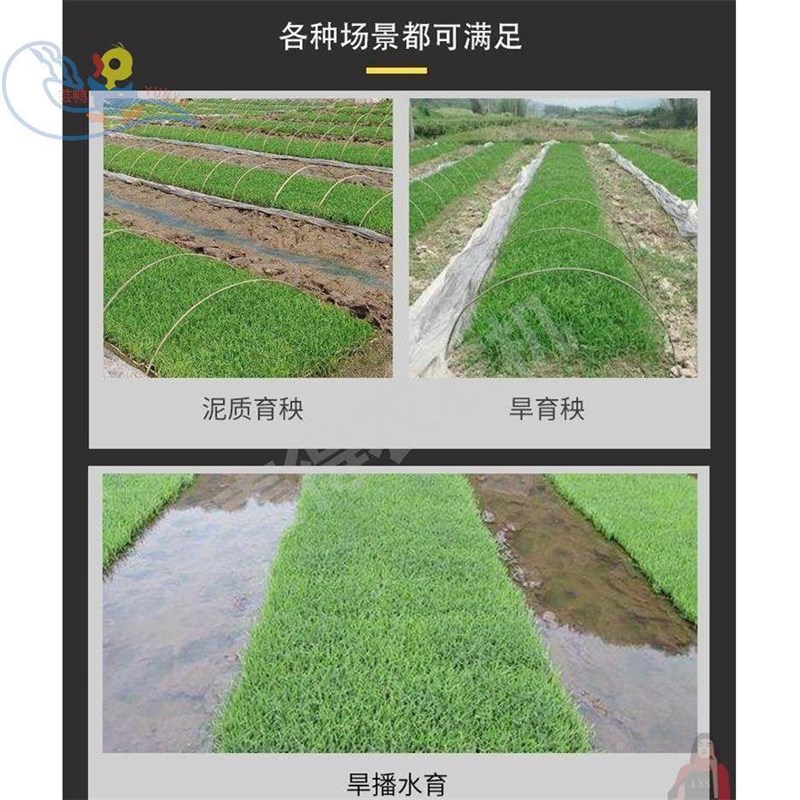 水稻播种机育秧播种电动大棚一体机下籽水稻机P秧田神器流水线机