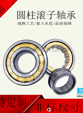 定做国产NJNU NUPp EM C3二类非标特大圆柱滚子轴承无外圈轴承滚