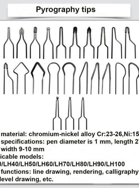 110V/220V LH40-S2 Adjustable TBemperature Wood Burner Pyrogr