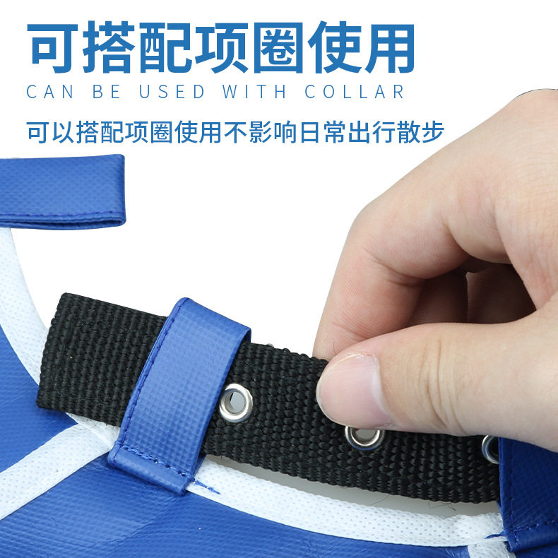 伊丽莎白圈无纺布猫狗脖圈头套洗澡美容罩宠物防咬防舔防抓项圈