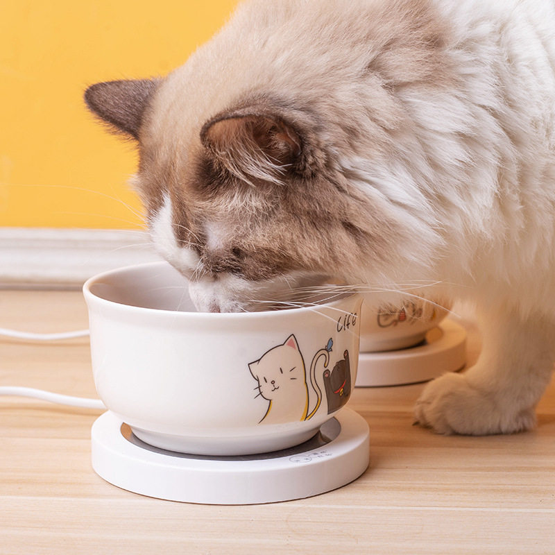 冬天恒温加热碗陶瓷猫咪饮水机喝水狗狗温水器酸奶机粮碗静音保温