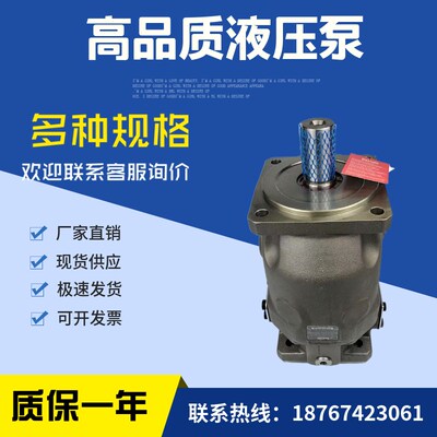 变量柱塞泵力士乐A10VSO28DFR1/31R-PPA12NORO液压油泵A10VSO