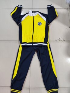 大连市金普新区学生校服同款春秋黄色上衣藏青单裤套装班服园服