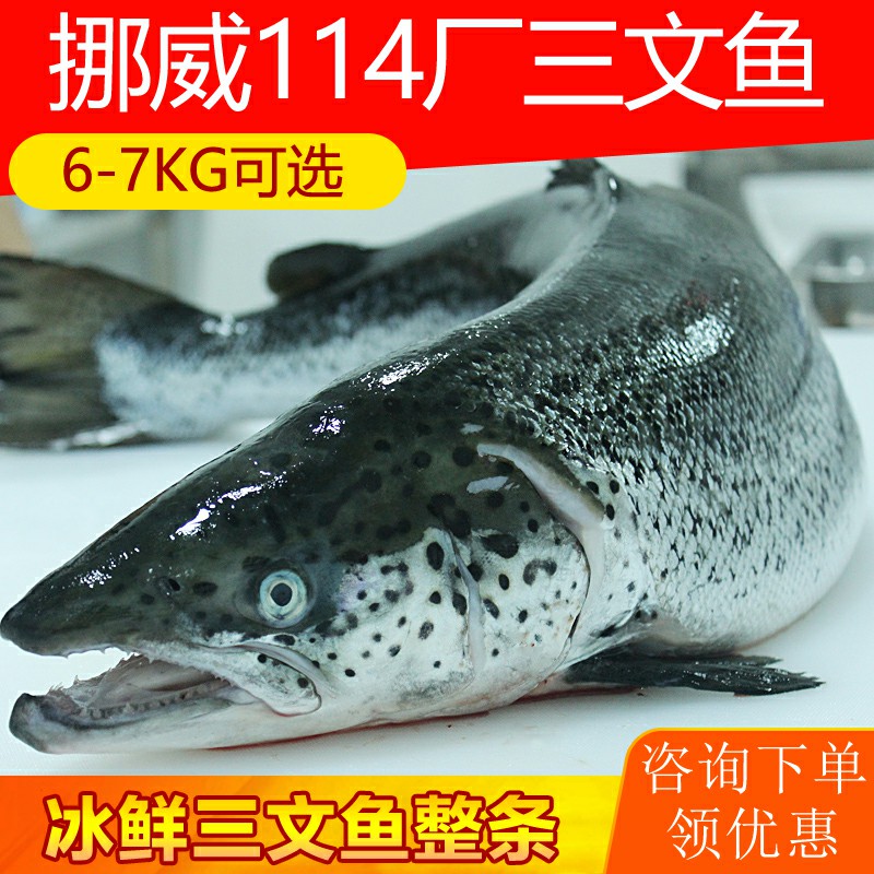 挪威三文鱼顺丰次日达