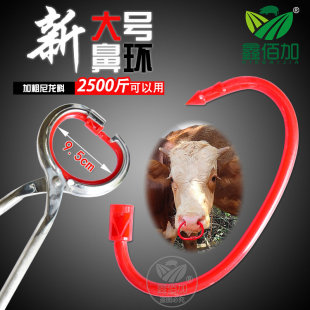 大号牛鼻圈尼龙牛鼻环 不锈钢牛鼻钳子牛用保定器 牛鼻圈养牛设备