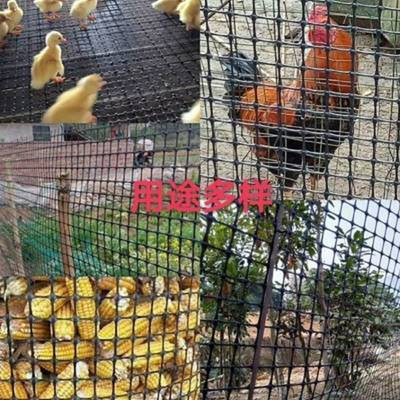定制加厚养殖鸡鸭鹅塑料网玉米网果园圈地围栏菜地·栅栏鱼