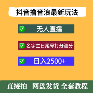 抖音撸音浪名字生日尾号打分测分无人直播日入2500+创业项目教程