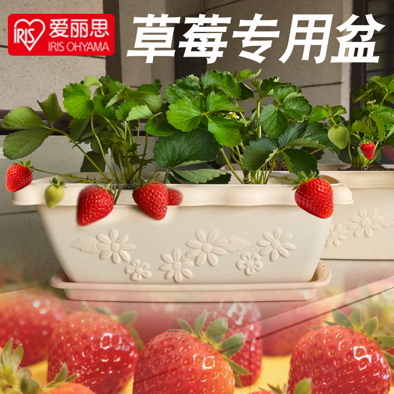 爱丽思草莓种植盆长方形花盆树脂条型盆爱丽丝蔬菜阳台种菜大号盆