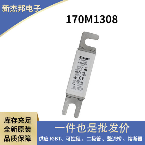 170M8640 170M8641 170M8642 170M8645原装直流熔断器 保险丝