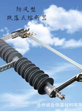 35KV户外高压防风型跌落式熔断器HPRWG-35/200HPRWG-35/100200A