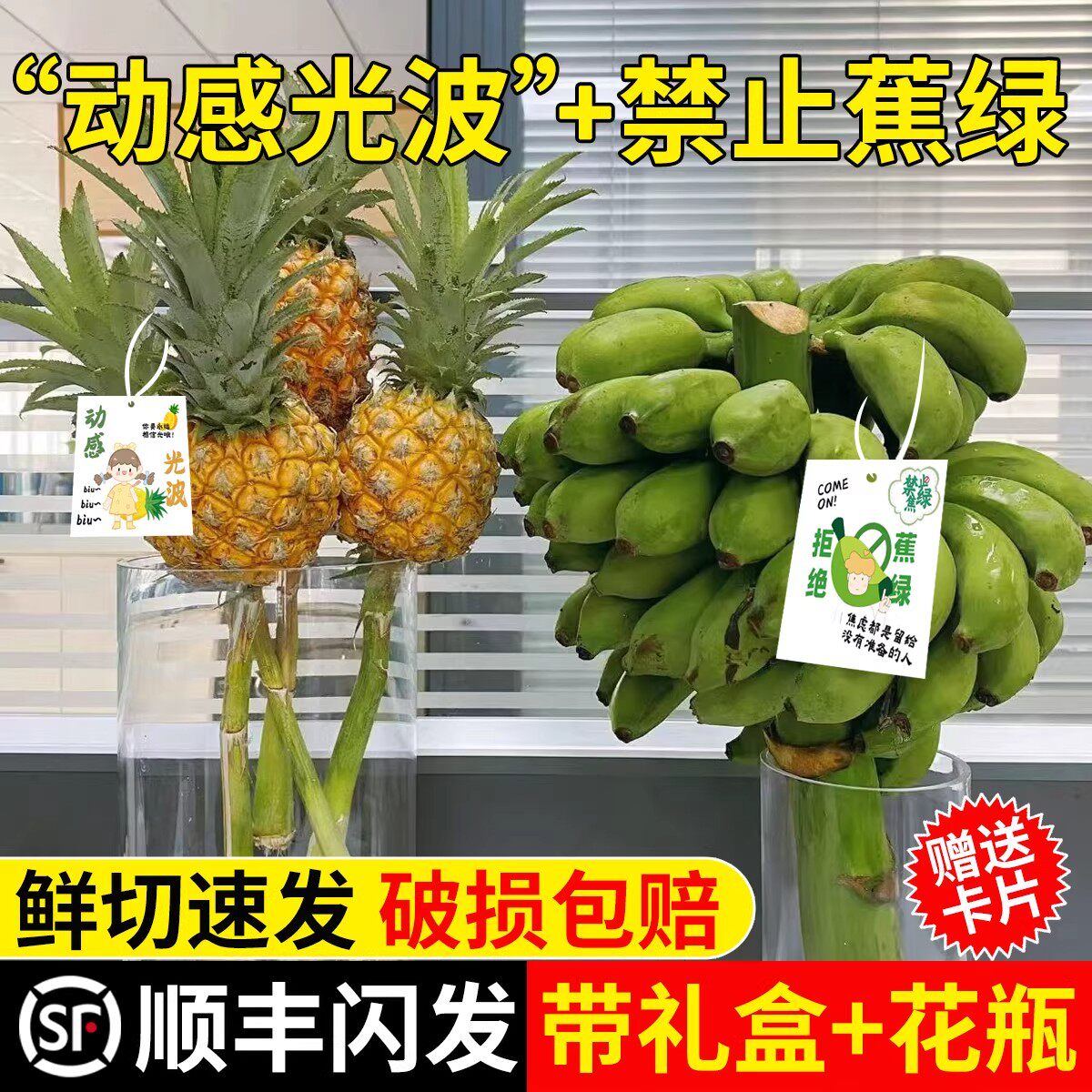 禁止焦绿水培香蕉树banana菠萝水培植物桌面绿植水养小米蕉凤梨树