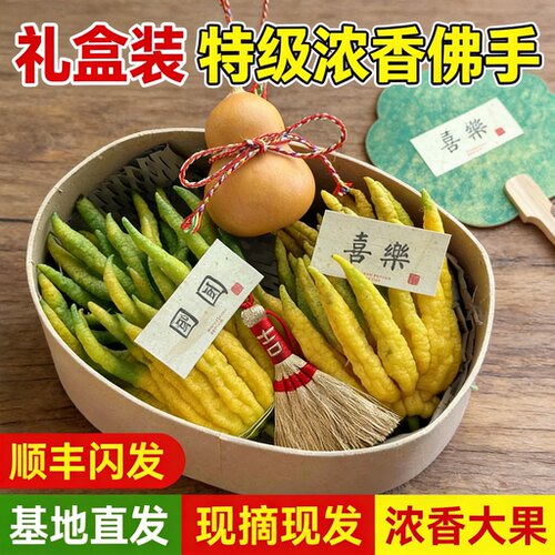 特级佛手柑礼盒装送礼摆件清供