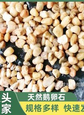 地暖专用回填豆地暖石子天然鹅卵石污水处理滤料垫层石子