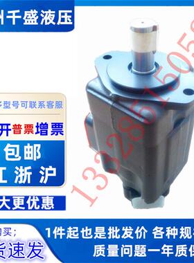 KCL凯嘉VQ315-125-6/8/11/14/17/19/23/26/31-F-RAAA-02叶片泵