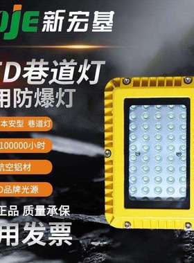 隔爆型LED巷道灯稳定安全煤矿井下照明灯DGS24/127方形款