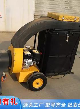 大型吸叶机大吸力公园草坪清扫机落叶清理手推自行树叶收集器