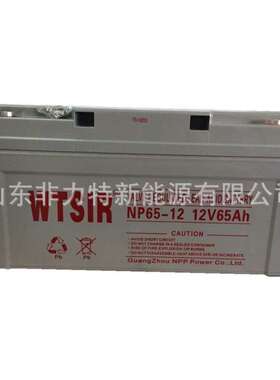 WTSIR蓄电池NP65-12维塔斯铅酸电池12V65AH配电柜 机房应急专用