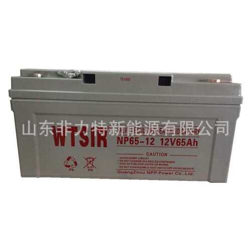 WTSIR蓄电池NP65-12维塔斯铅酸电池12V65AH配电柜 机房应急专用