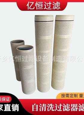 AF206E替代阿米亚德滤网AF208E自清洗过滤器不锈钢316滤网AF816PR