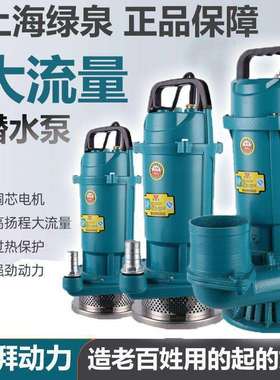 家用220V纯铜水泵农用单相农用灌溉小型潜水泵高扬程大流量抽水机