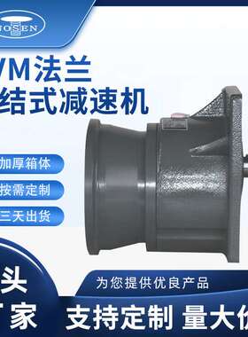 罗升机电CVM法兰直结式减速机源头电动机厂家