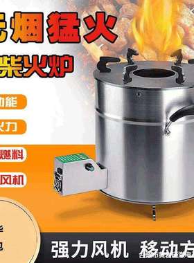 户外柴火炉木材柴火灶野营户外柴火灶猛火柴煤取暖炉两用无烟环保