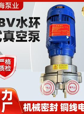 工厂直发2BV水环式真空泵工业高真空水循环泵铸铁卧式水环真空泵