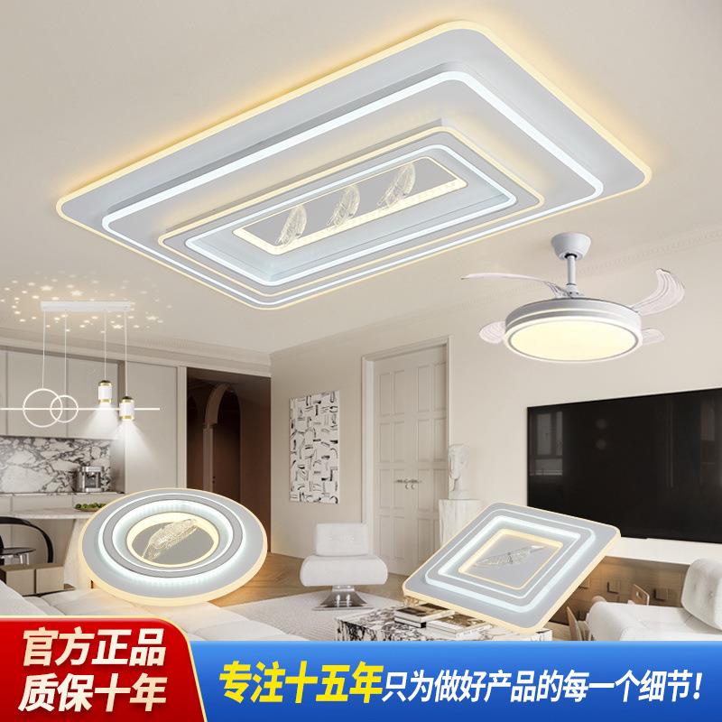 灯具2023简约羽毛客厅灯全屋套餐组合吸顶灯