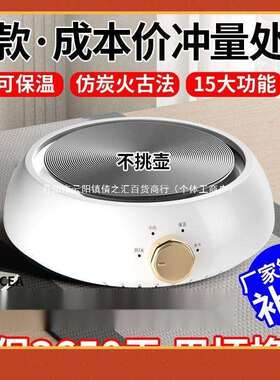 电陶炉煮茶家用甘肃罐罐茶电炉子小型烧水电热炉摩卡壶其它