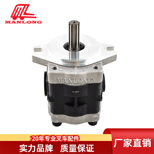 叉车配件液压泵10T DSG05A9F2H1-R252C电动叉车配件液压泵