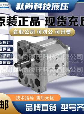 意大利DUPLOMATIC迪普马齿轮泵GP20279R97F20NGP10034R97F20N