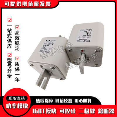 170M6748 170M6749型号齐全170M6750 170M6751巴斯曼熔断器现货