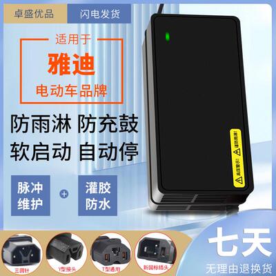 适配电动车充电器48v6r0v720a电瓶车冠能sp石墨烯电车电池