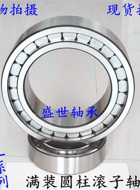 满装圆柱滚子轴承NJG2313VH SL1A92313 内径65外径140厚度48mm