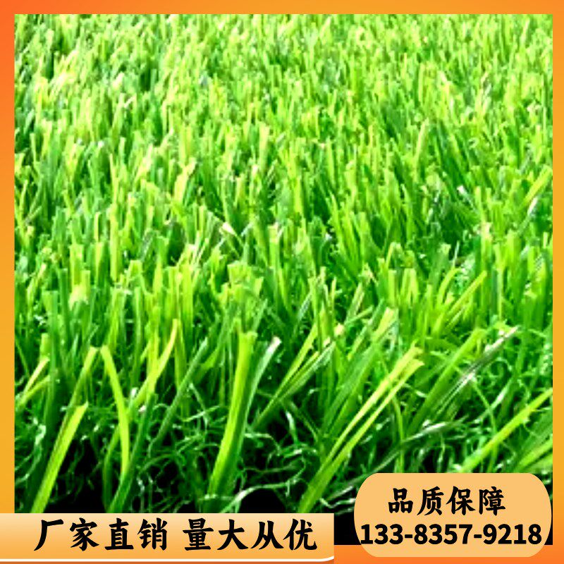 仿真草坪地毯假草皮绿色塑料围挡人工草地铺垫P幼儿园人造地垫户
