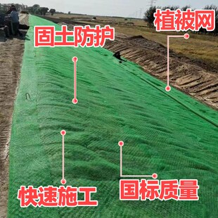 三维植被网dEM2EM3EM4EM5河道护坡固土网绿化用植草网三维土工网