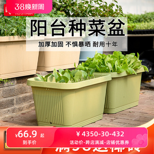 爱丽思花盆长方形种植盆塑料种菜槽专用箱户外花园阳台盆栽爱丽丝