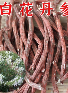 精品山东泰沂货白花丹参条丹参段原产品直发无硫自然晾晒白花丹参