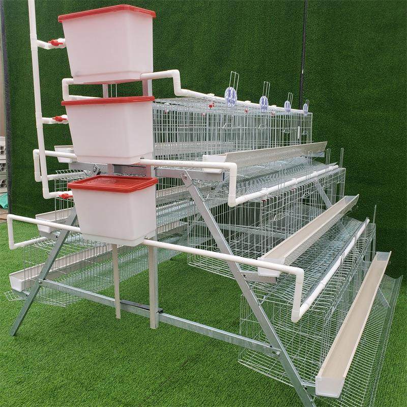 加粗蛋鸡笼镀锌锈钢不阶梯式蛋鸡笼笼出口标准三可四层养鸡定做,汽车零部件/养护/美容/维保,叉车胎,淘宝优惠券,粉丝福利购,淘宝优惠卷