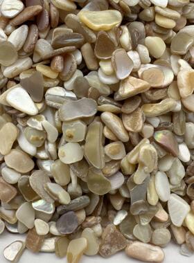 应七彩贝缸壳砂装饰族水鱼底砂供DJU原色贝壳 家禽饲料用高钙碎片