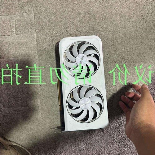 议价议价直拍不发议价白雪豹 3060ti g6x 个人送保 运费到付