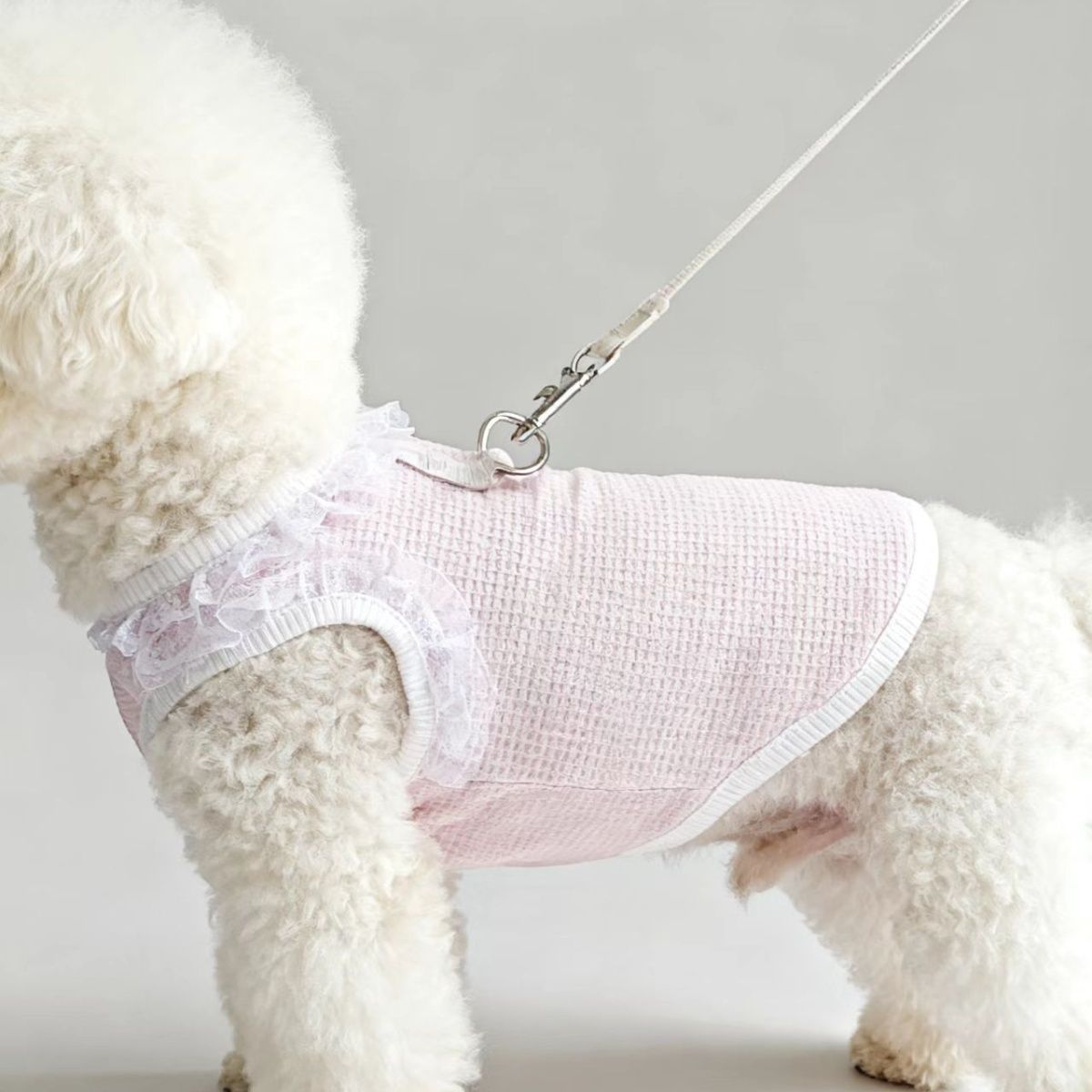 猫咪四季透气蕾丝花边背心小型犬狗狗衣服可牵引宠物新款服饰