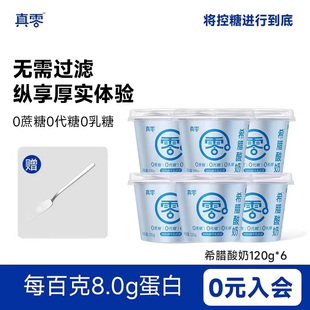 真零酸奶希腊酸奶120g 无蔗糖0乳糖风味酸牛奶营养低温奶 6杯装