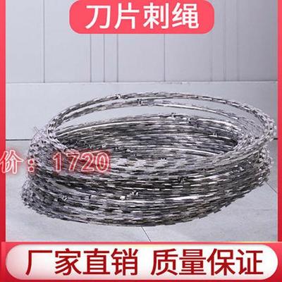 加粗刀片刺绳防盗网防爬网带刺防钓鱼铁丝网钢丝刺绳带刺防盗窗