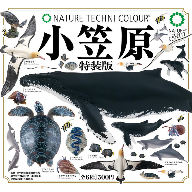 预售#正版IKIMON小笠原特装版扭