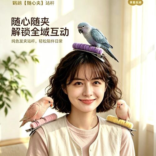 随心夹发夹式便携鹦鹉栖息站杆