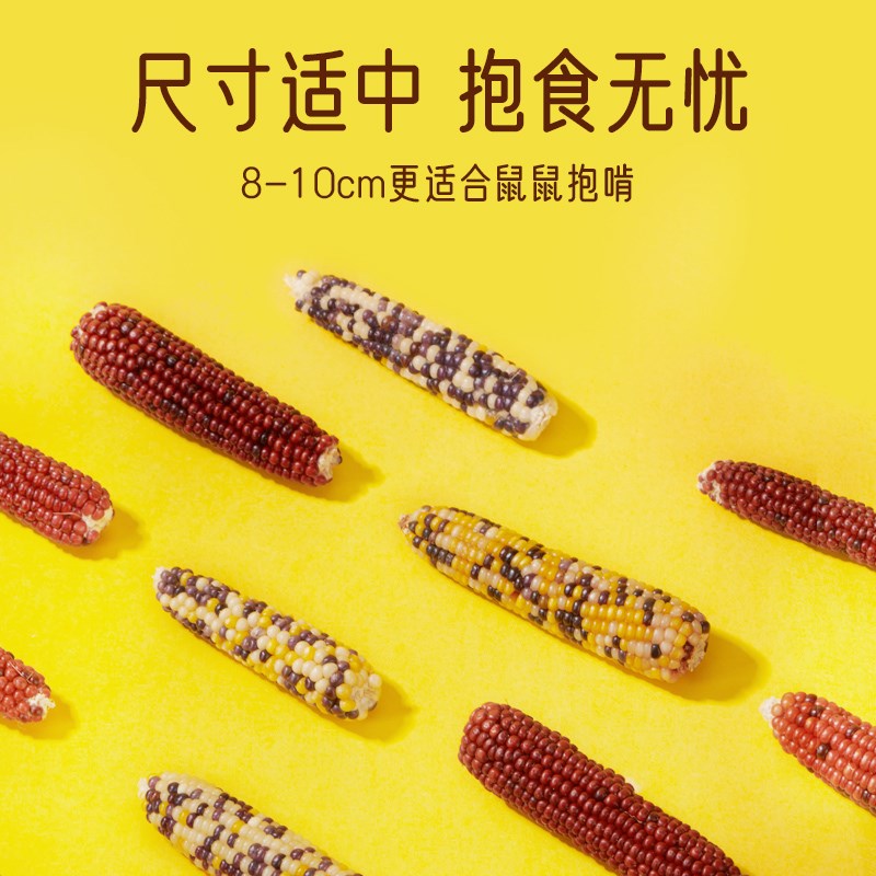 新品小苍仓鼠磨牙玉米彩s色磨牙棒零食秋冬季食物金丝熊营养粮造