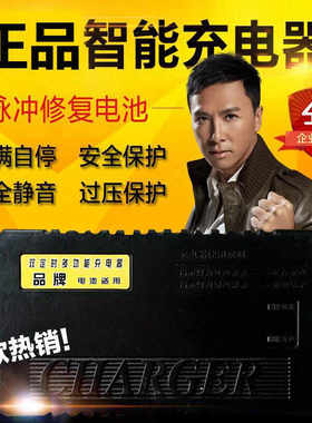 极速电动车充电器48V120AH60V100AAH72V80AH84V60AH96V50AH大功率