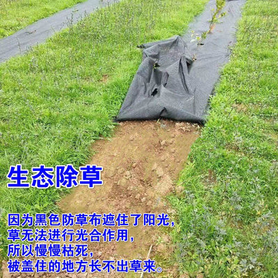 五年保温防草布卷装厂家直发果园保湿耐用编制地膜保肥透气透水好