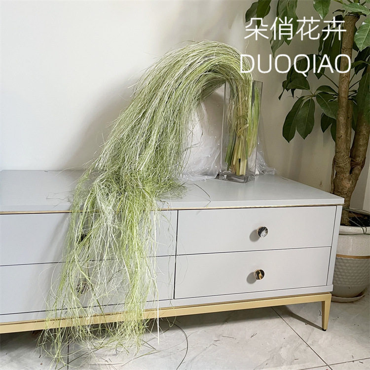 拉丝水蜡叶花材水烛叶丝干草花水竹叶丝垂吊垂挂型装饰材料婚庆花